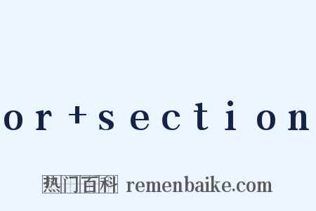 or+section是什么意思的图片